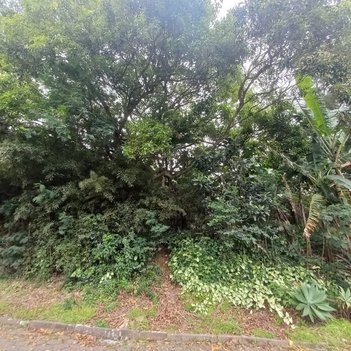 land_lot em Europa, Trindade - Florianópolis - SC