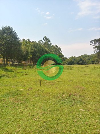 agricultural em Avenida Prefeito Orlando Oscar Baumhardt, Linha Santa Cruz - Santa Cruz do Sul - RS