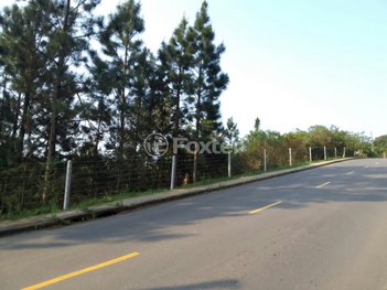 land_lot em Estrada das Furnas, Vila Nova - Porto Alegre - RS