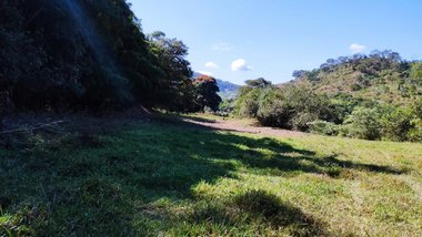 land_lot em Rodovia 262, Palmeiras - Ponte Nova - MG