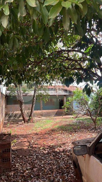 land_lot em Rua Lirios-Azuis, Cidade Jardim - Uberlândia - MG