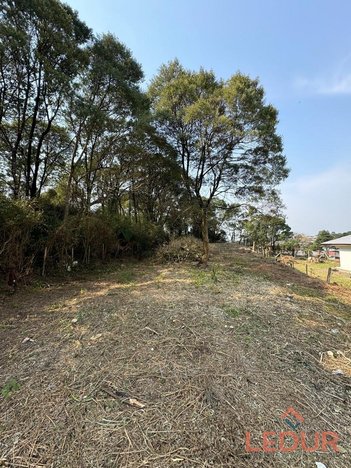 land_lot em Rua Curupaiti, Centro - São Francisco de Paula - RS