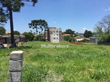 land_lot em Rua Vicente Calderari, Thomaz Coelho - Araucária - PR
