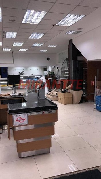 industrial em Lins De Vasconcelos, Cambuci - São Paulo - SP