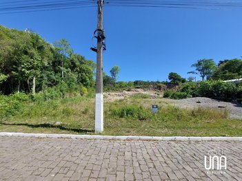 land_lot em Rua Agostinho Joao Frighetto, Borghetto - Garibaldi - RS