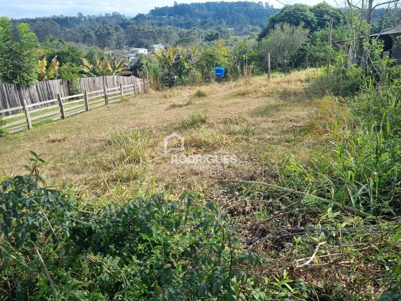 095fcedd-0c5c-4fa7-89d1-35a80ad016ce