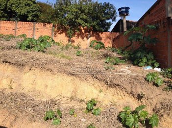 land_lot em Rua Alcebíades Eufrásio Monteiro, Caputera - Sorocaba - SP