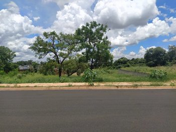 land_lot em Avenida Sílvio Cruz, Jardim Maria Luiza - Araraquara - SP