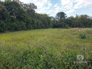 land_lot em Rua José Laurindo Machado, Forquilhas - São José - SC