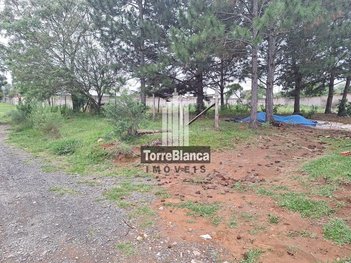 land_lot em Rua Verônica Chanoski Matias, Colônia Dona Luíza - Ponta Grossa - PR