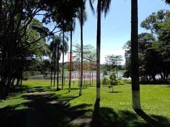 agricultural em Estrada Iate Clube, Sebandilha - Mairinque - SP