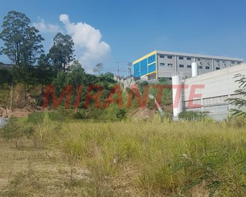 land_lot em Avenida David Kasitzky, Vila Rosina - Caieiras - SP