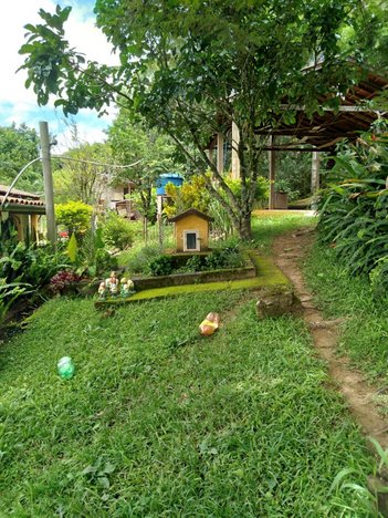 agricultural em Praça Fortunato Campos, Centro - Rio Manso - MG
