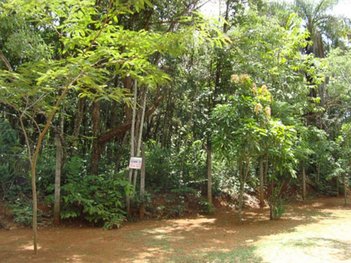 land_lot em Francisco de Oliveira, Centro - Sete Lagoas - MG