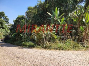 land_lot em Rua Roseira, Jardim Petrópolis - São Paulo - SP