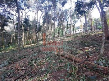 land_lot em Rua Santa Cruz, Residencial Recanto Verde - Cotia - SP