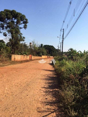 land_lot em Avenida das Maritacas, Indústrias Leves - Londrina - PR