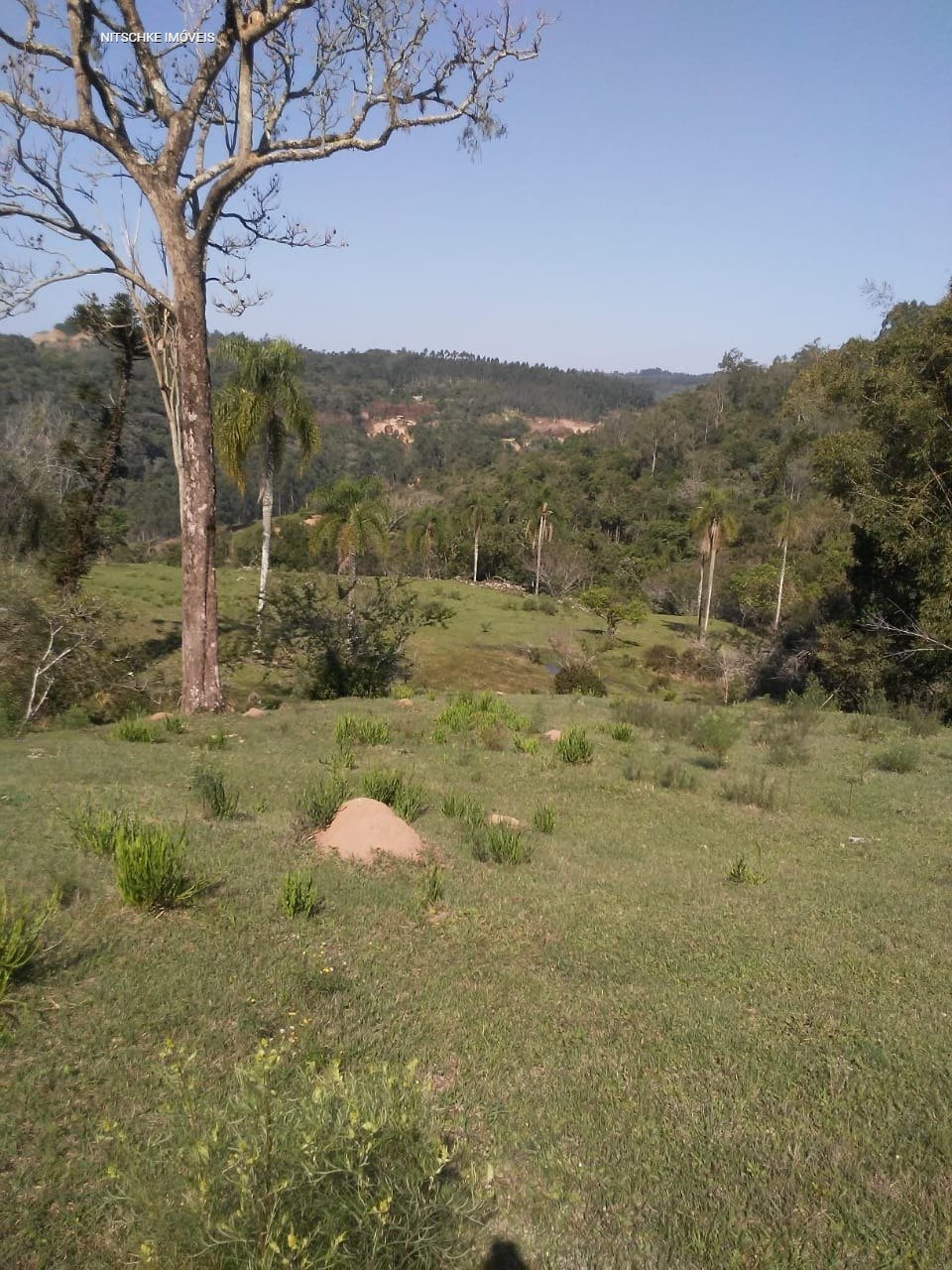 d8e5932c-9b2f-4f9d-b7da-e71c6c0f5790