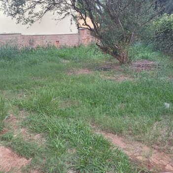 house em Rua Mata Atlântica, Bosque de Barão Geraldo - Campinas - SP