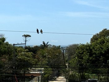 apartment em Avenida Campeche, Campeche - Florianópolis - SC
