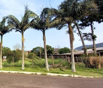land_lot em Rua Joao Inacio da Silva, Caiu do Céu - Osório - RS