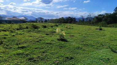 land_lot em Rua Clotildes Frutuoso Lopes, Aririú - Palhoça - SC