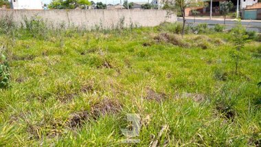 land_lot em Avenida Doutor Euridice José Bento, Jardim do Lago Continuação - Campinas - SP