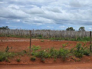 agricultural em Área Rural, Área Rural de Planaltina - Planaltina - GO