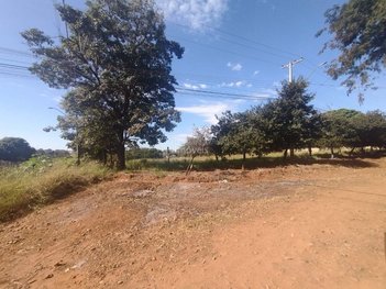 land_lot em Rua José Bellotte, Parque Laranjeiras - Araraquara - SP