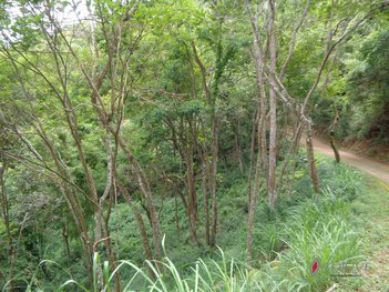 land_lot em Carvalho Junior, Corrêas - Petrópolis - RJ