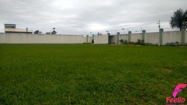 land_lot em Aparício Ramos Cordeiro, Campeche - Florianópolis - SC