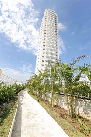 apartment em Rua Barão de Jaguara, Cambuci - São Paulo - SP