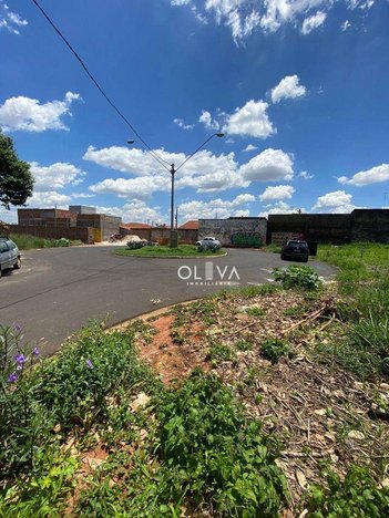 land_lot em Rua Doutor Assis Brasil, Vila Angélica - São José do Rio Preto - SP