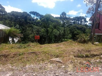 land_lot em Rua Dois de Abril, Centro - São Francisco de Paula - RS