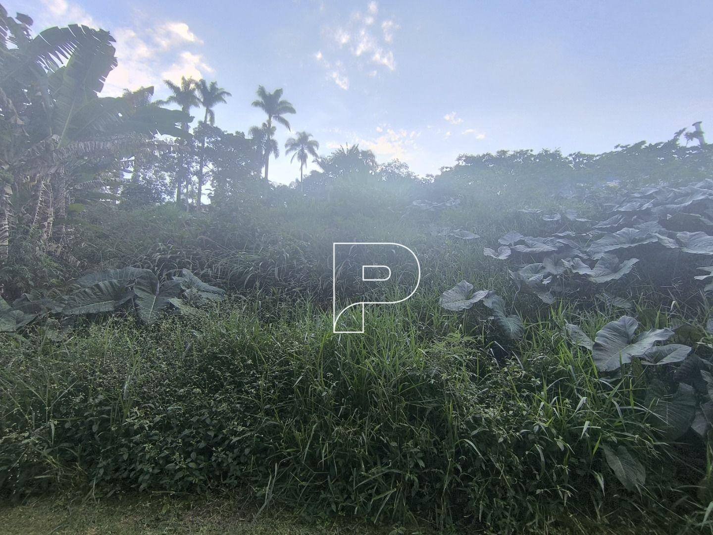 image-0
