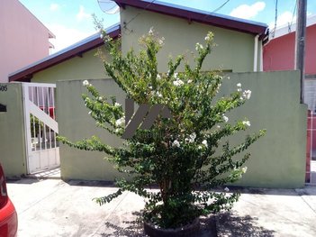 house em Rua Almirante Barroso, Cidade Nova - Indaiatuba - SP