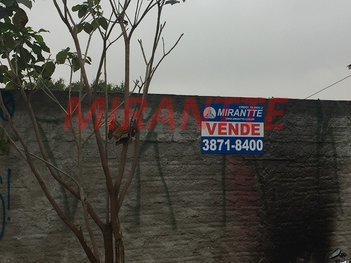 land_lot em Andréa Del Castagno, Vila Santa Maria - São Paulo - SP