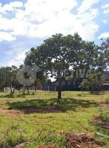 land_lot em Rua Guaracy Busmayer, Morada Nova - Uberlândia - MG