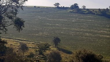 agricultural em Estrada Vicinal, Riviera de Santa Cristina I - Arandu - SP