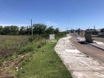 land_lot em Rodovia BR-158, Pinheiro Machado - Santa Maria - RS