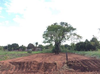 land_lot em Rua Roraima, Panorama - Campo Grande - MS