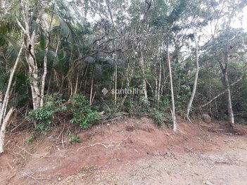 land_lot em Rodovia Rozália Paulina Ferreira, Pântano do Sul - Florianópolis - SC