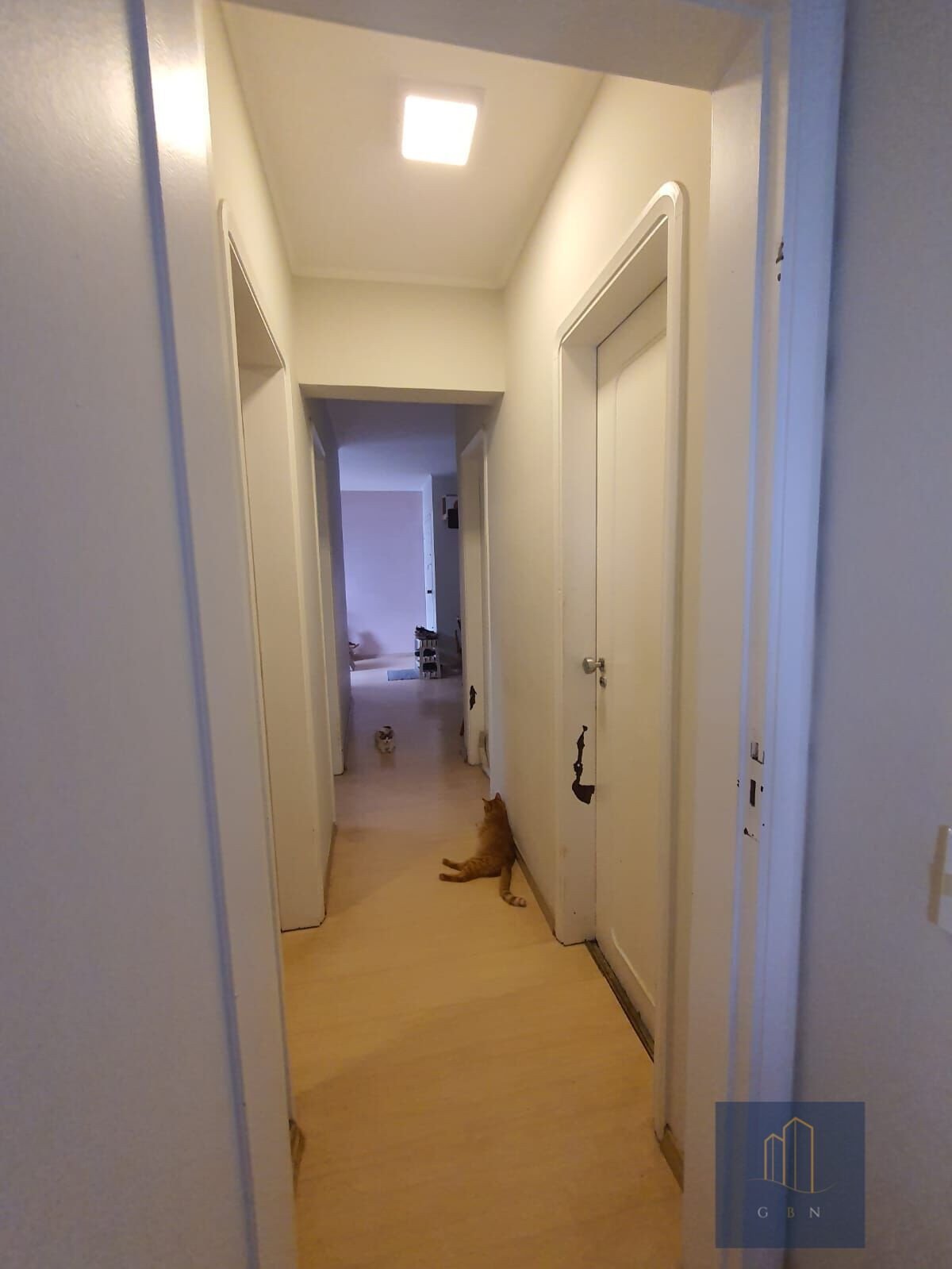 img3