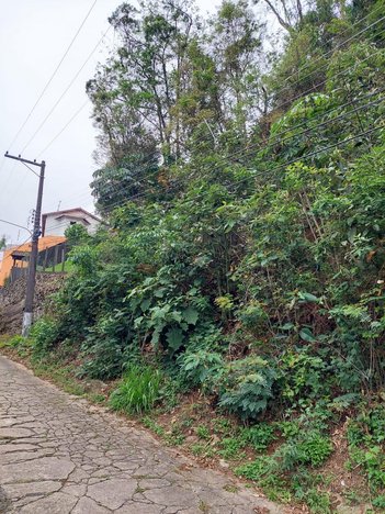 land_lot em Rua Paris, Retiro - Petrópolis - RJ