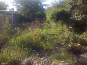 land_lot em Avenida Senador Joaquim Augusto de Assumpção, Laranjal - Pelotas - RS