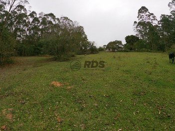 commercial_land_lot em Rua Elisha Otis, Cooperativa - São Bernardo do Campo - SP