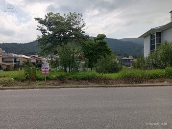 land_lot em Avenida das Maracanãs, Pedra Branca - Palhoça - SC