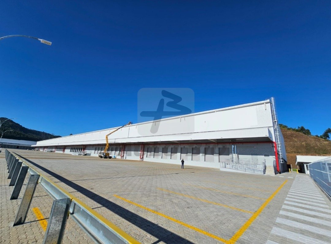 image - 2025-08-02T095343