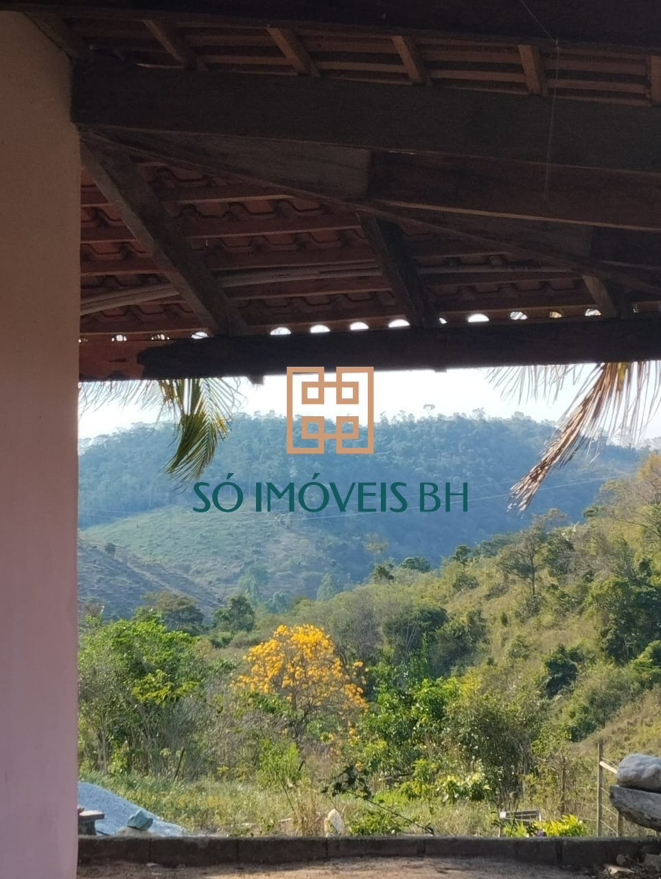 87373c16-d5e5-4ad2-ac55-e1e6086d8899