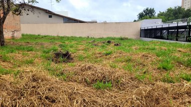 house em Rua Newton Braga, Vila Aviação - Bauru - SP